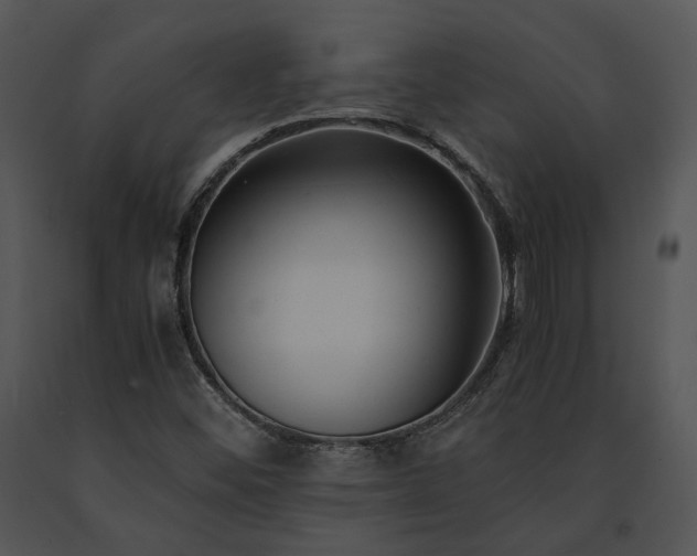 X0000091661452200708301428