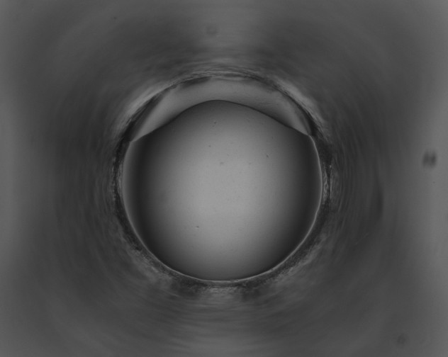 X0000091661453200708301428