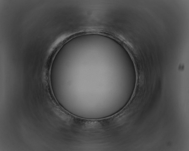 X0000091661454200708301428