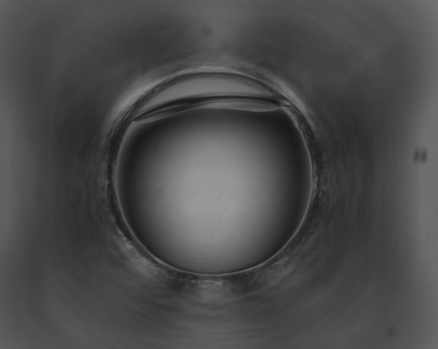 X0000091661456200708301428
