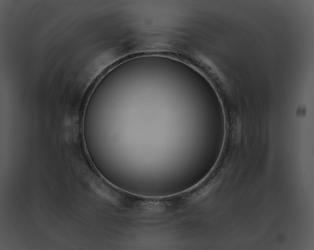 X0000091661457200708301428