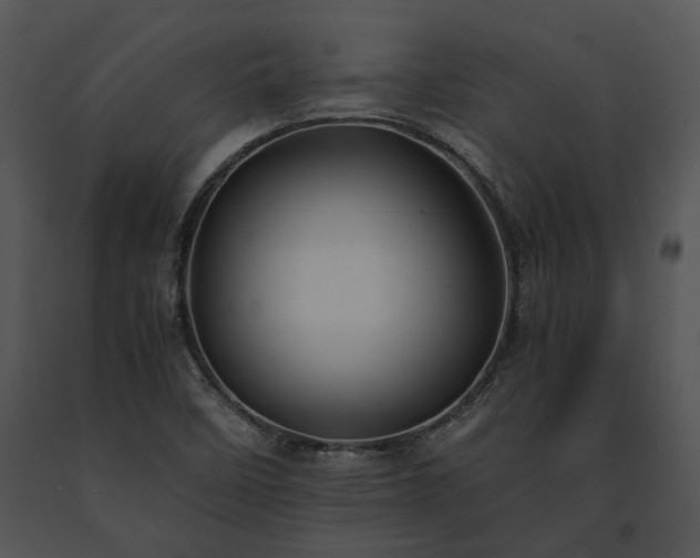 X0000091661458200708301428