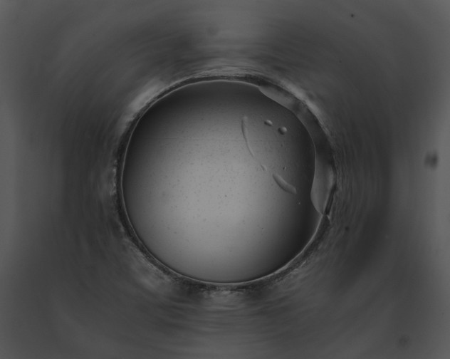 X0000091661459200708301428