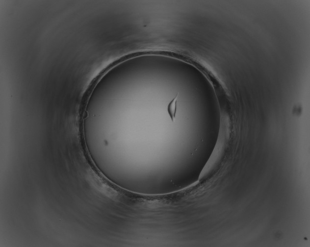X0000091661460200708301428