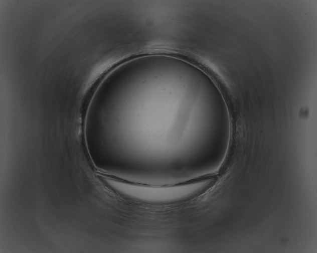 X0000091661461200708301428