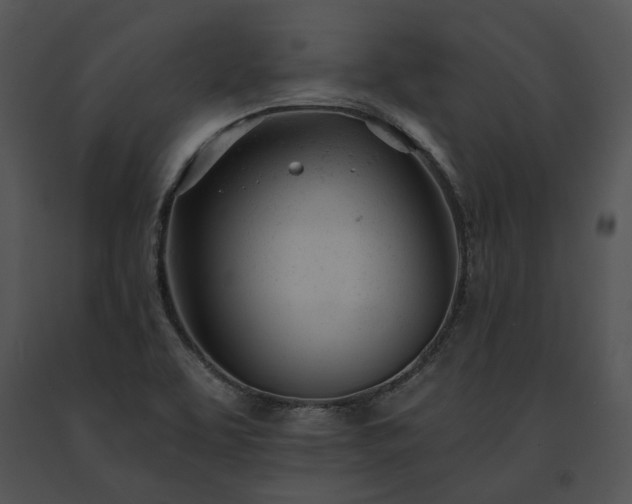 X0000091661463200708301428