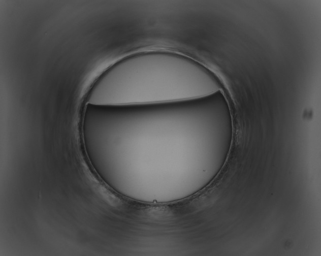X0000091661464200708301428