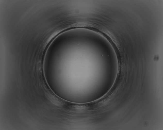 X0000091661465200708301428