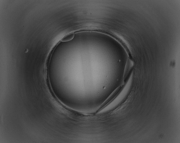 X0000091661467200708301428