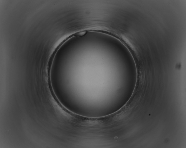 X0000091661468200708301428