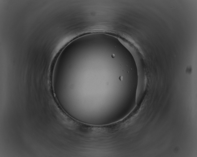 X0000091661469200708301428