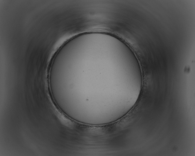 X0000091661470200708301428