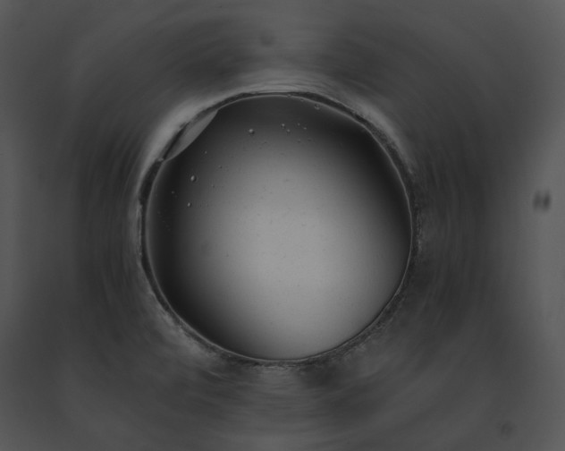 X0000091661472200708301428