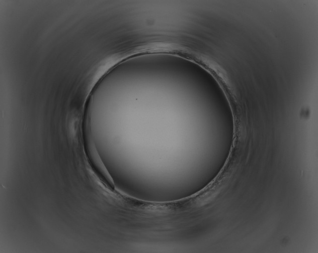 X0000091661473200708301428