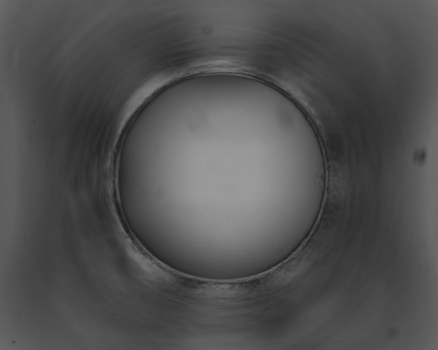 X0000091661474200708301428