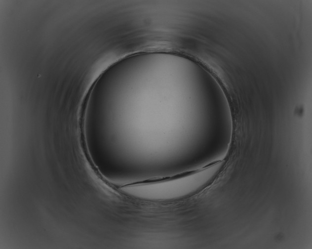 X0000091661475200708301428
