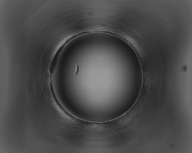 X0000091661476200708301428