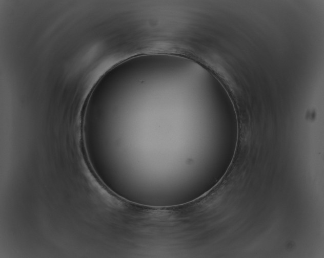 X0000091661479200708301428