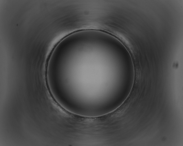 X0000091661480200708301428