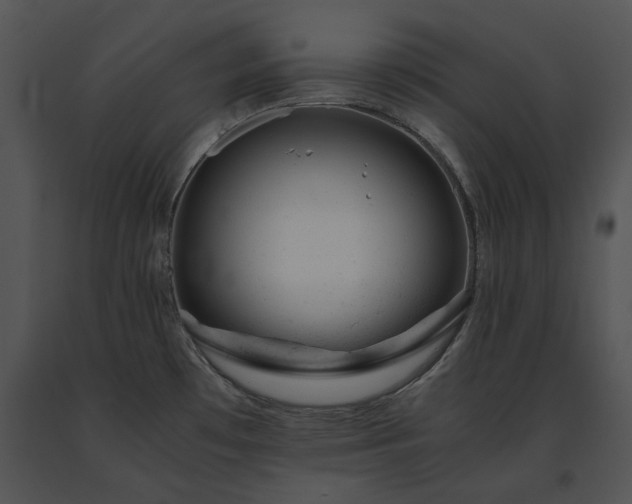 X0000091661481200708301428
