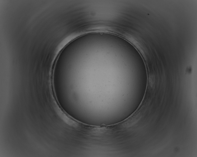 X0000091661482200708301428