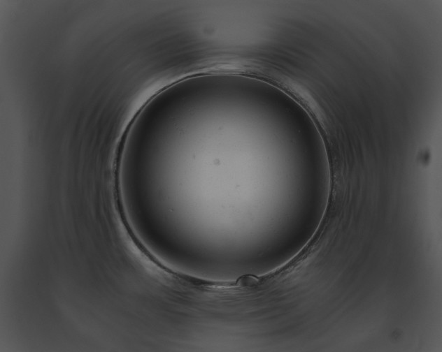 X0000091661483200708301428