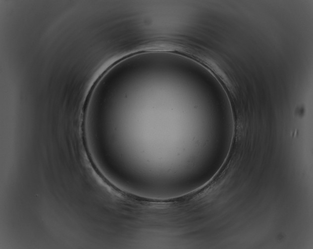 X0000091661484200708301428
