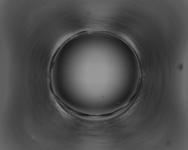 X0000091661485200708301428
