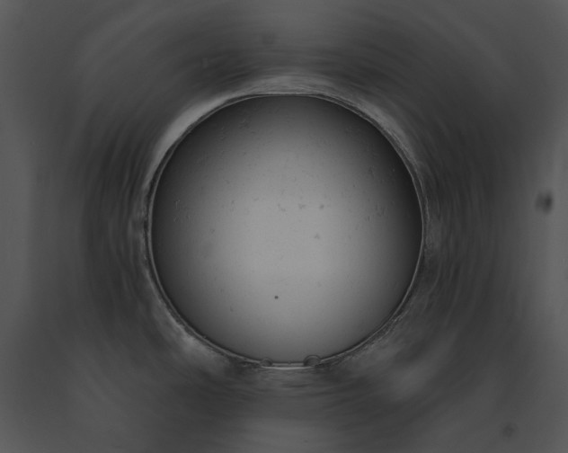 X0000091661486200708301428