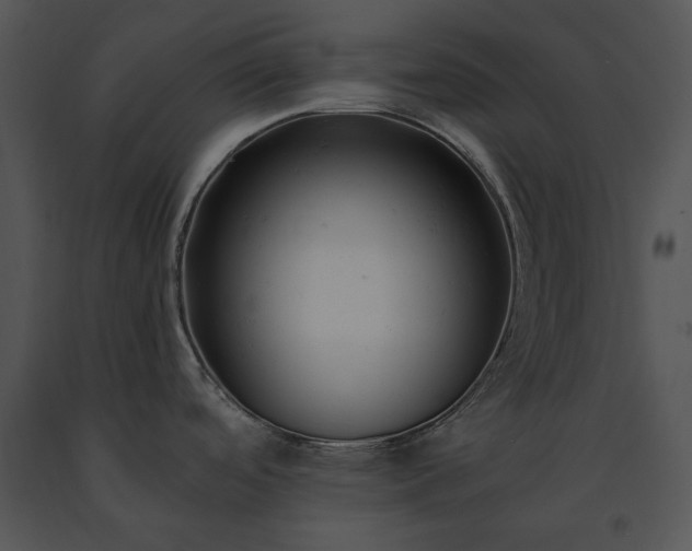 X0000091661488200708301428