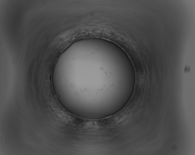 X0000091661489200708301427