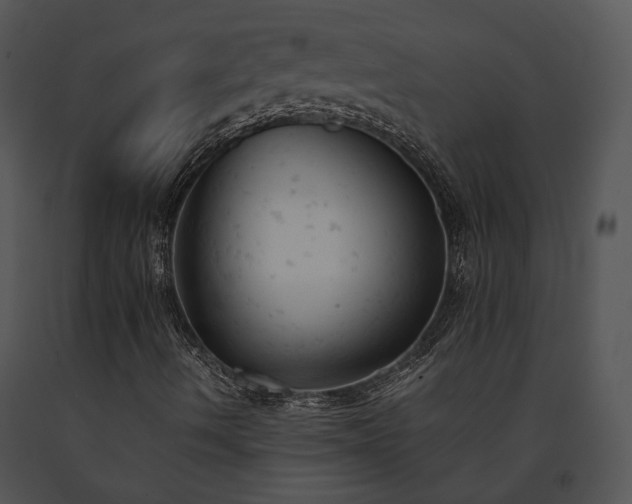 X0000091661490200708301427