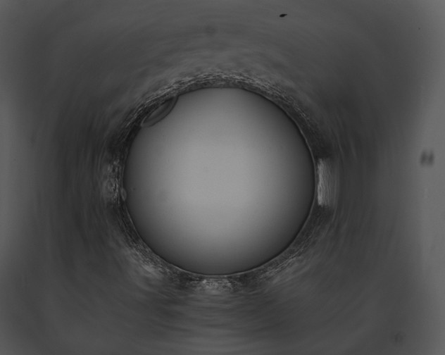 X0000091661491200708301427