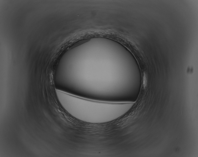 X0000091661492200708301427