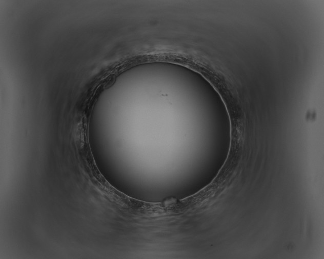 X0000091661493200708301427