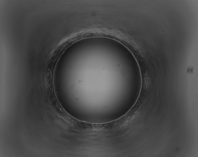X0000091661494200708301427