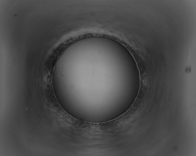 X0000091661495200708301427
