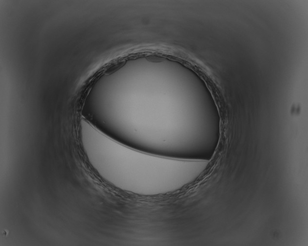 X0000091661496200708301427
