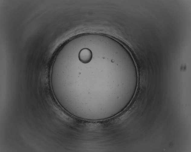 X0000091661498200708301428