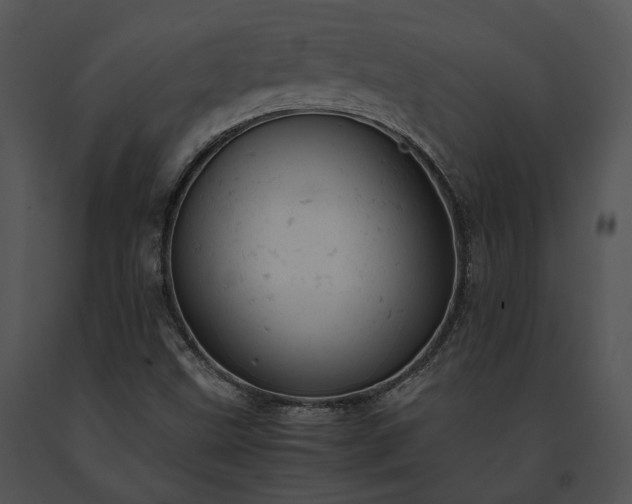 X0000091661499200708301428