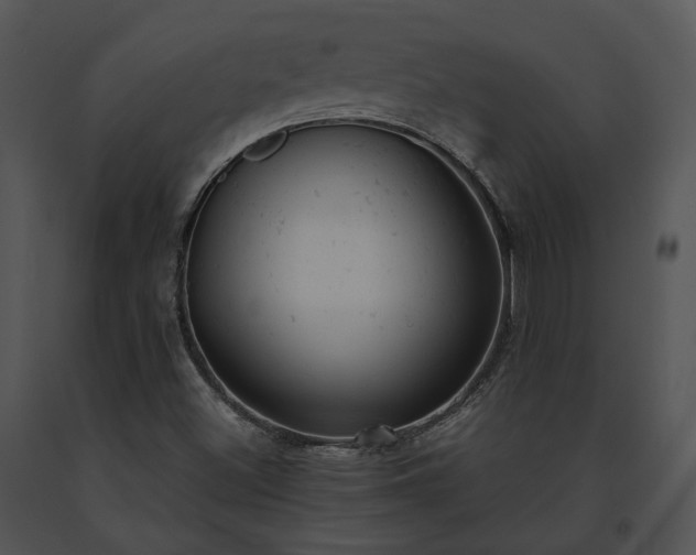 X0000091661500200708301428