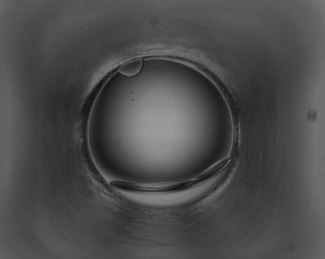 X0000091661501200708301428
