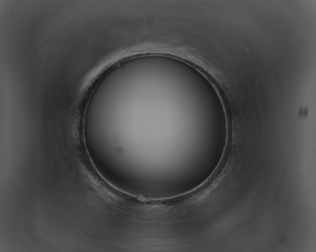 X0000091661502200708301428