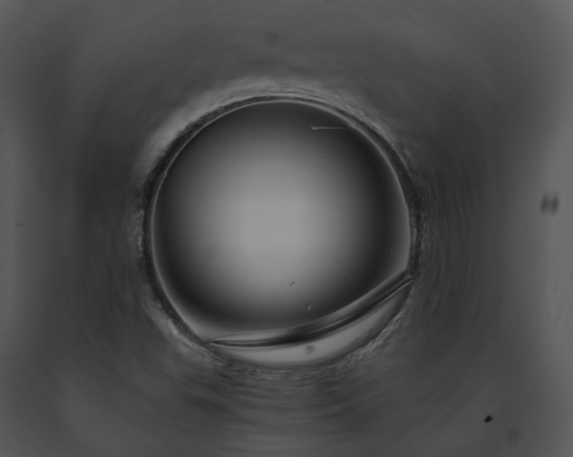 X0000091661503200708301428