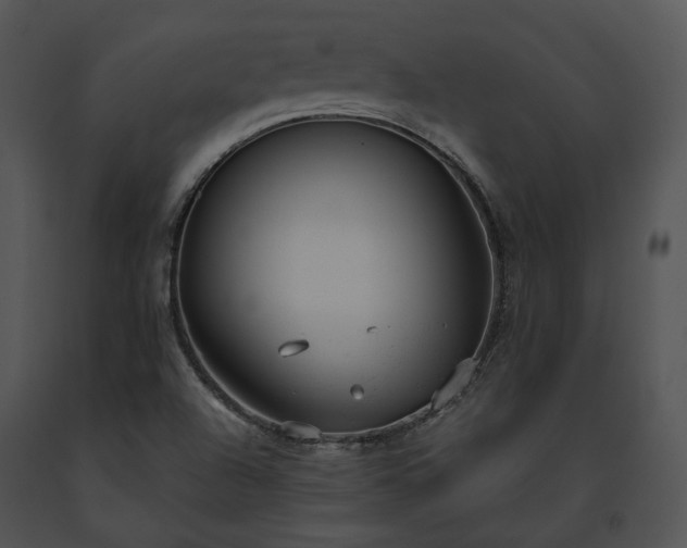 X0000091661504200708301428