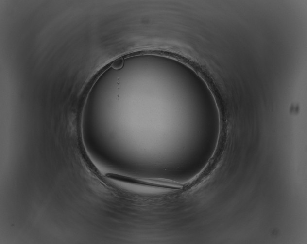 X0000091661505200708301428