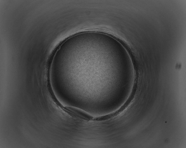 X0000091661506200708301428