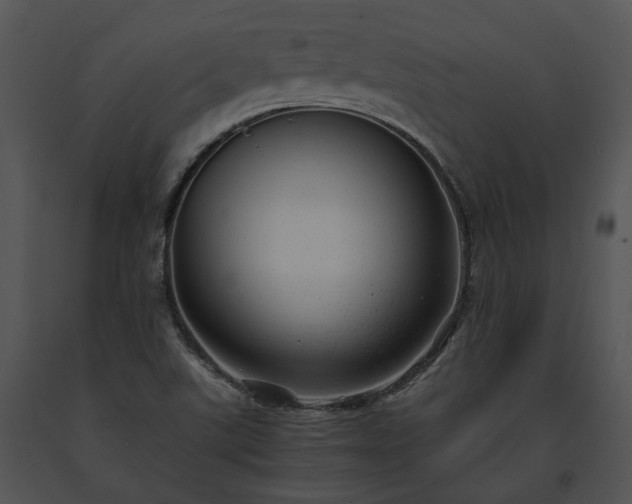 X0000091661507200708301428