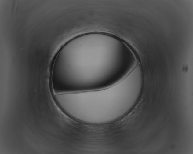 X0000091661508200708301428