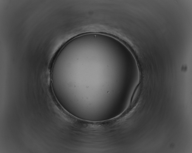 X0000091661509200708301428